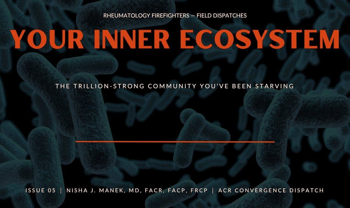 The Inner Ecosystem: Seed Oils and Inflammation