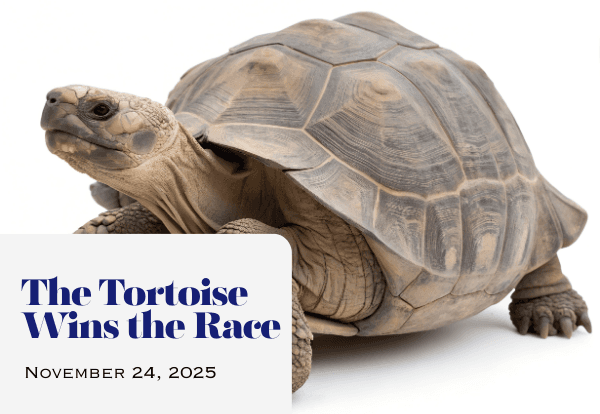 The Tortoise Wins the Race